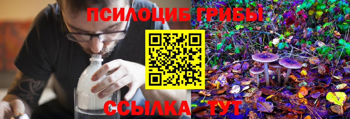 Псилоцибиновые грибы GOLDEN TEACHER Сергиев Посад