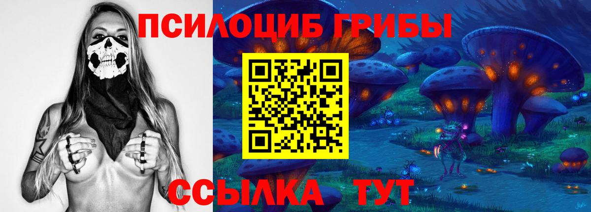 Сергиев Посад  Псилоцибиновые грибы GOLDEN TEACHER  Вход с VPN 